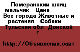 Померанский шпиц мальчик › Цена ­ 30 000 - Все города Животные и растения » Собаки   . Тульская обл.,Донской г.